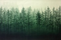 Forest backgrounds landscape nature. AI generated Image by rawpixel.