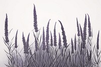 Lavender plant outdoors nature flower. AI generated Image by rawpixel.