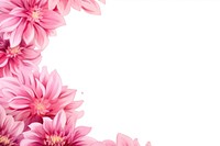 Botanical pink flower pattern dahlia petal. AI generated Image by rawpixel.