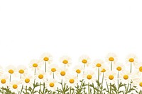 Daisy flower backgrounds outdoors nature. AI generated Image by rawpixel.