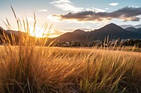 Outdoor grass landscape outdoors panoramic. AI generated Image by rawpixel.