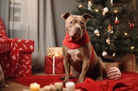 A cute dog christmas pitbull mammal. 