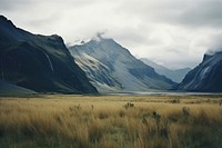 New zealand mountain landscape wilderness grassland. 