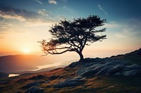 Landscape tree mountain outdoors. AI generated Image by rawpixel.