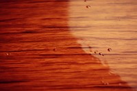Wood deck floor cleaning wood hardwood flooring. AI generated Image by rawpixel.