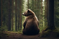 Bear wildlife forest mammal. AI generated Image by rawpixel.