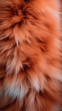 A cat fur background backgrounds accessories accessory. AI generated Image by rawpixel.