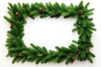 Christmas tree pine garland frame plant white background invertebrate. AI generated Image by rawpixel.