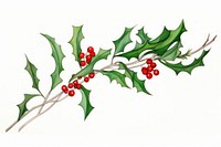 Mistletoe christmas plant leaf. AI generated Image by rawpixel.