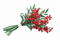 Mistletoe bouquet plant food white background. AI generated Image by rawpixel.