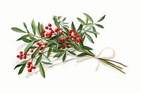 Mistletoe bouquet flower plant herbs. AI generated Image by rawpixel.