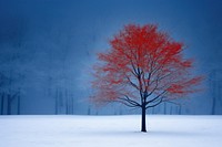 Christmas nature tree outdoors. AI generated Image by rawpixel.