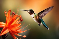 Humming bird flower hummingbird hovering. AI generated Image by rawpixel.
