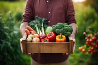 Vegetable holding garden adult. 