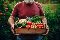 Vegetable holding adult food. 