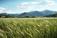 Outdoor grass landscape outdoors grassland. AI generated Image by rawpixel.