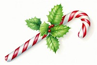 Candy cane christmas plant holly. AI generated Image by rawpixel.