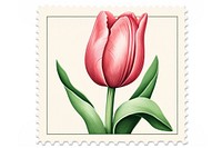 Cute tulip graphic illustration flower plant inflorescence. 