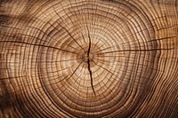 Oak annual ring wood backgrounds texture. AI generated Image by rawpixel.