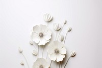 White paper flowers petal plant art. 