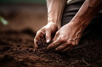 Soil agriculture gardening outdoors. AI generated Image by rawpixel.