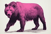 A lion mammal animal bear. AI generated Image by rawpixel.