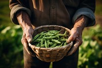 Organic farmer basket adult. AI generated Image by rawpixel.