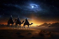 Night camel landscape astronomy. 