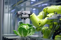 A robotic arm carefully handling a freshly-picked cabbage technology vegetable futuristic. AI generated Image by rawpixel.