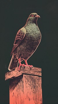 A pigeon animal bird blackbird. AI generated Image by rawpixel.