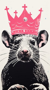 A rat wearing crown mammal animal cat. 