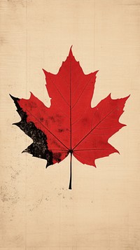 A Simple Maple leaf maple textured pattern. AI generated Image by rawpixel.