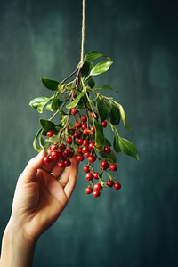 Woman hand holding a homemade Christmas Mistletoe cherry plant fruit. AI generated Image by rawpixel.