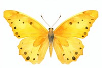 Cute butterflie butterfly animal insect. AI generated Image by rawpixel.