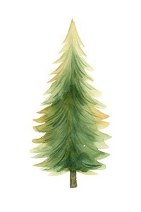 Christmas trees christmas plant leaf. AI generated Image by rawpixel.