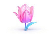 Neon tulip flower petal plant. 