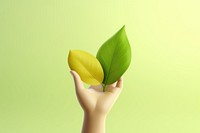 Hand holding a leaf green adult plant. AI generated Image by rawpixel.
