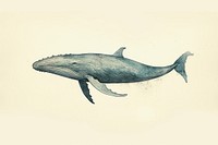 Whale animal mammal fish. AI generated Image by rawpixel.