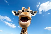 Straight face giraff wildlife giraffe animal. AI generated Image by rawpixel.
