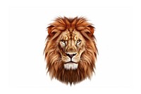 Lion head wildlife mammal animal. AI generated Image by rawpixel.