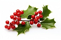 Christmas mistletoe cherry plant fruit. AI generated Image by rawpixel.