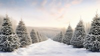 Christmas tree farm landscape christmas outdoors. AI generated Image by rawpixel.