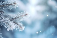 Snow tree fir backgrounds. AI generated Image by rawpixel.