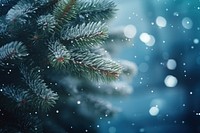 Tree fir backgrounds christmas. AI generated Image by rawpixel.