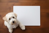 Dog mammal animal puppy. AI generated Image by rawpixel.