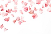 Flower petals backgrounds plant fragility. AI generated Image by rawpixel.