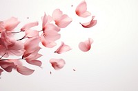 Flower petals backgrounds plant fragility. AI generated Image by rawpixel.