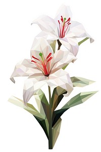 Lily flower blossom plant white. AI generated Image by rawpixel.