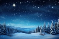 A beautiful Merry Christmas scene landscape night snow. 