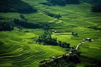 Green pastoral landscape outdoors nature. AI generated Image by rawpixel.